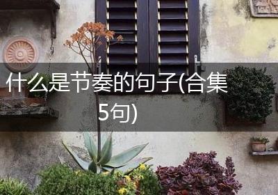 什么是节奏的句子(合集5句)