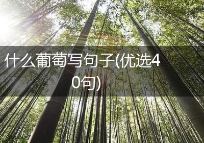 什么葡萄写句子(优选40句)