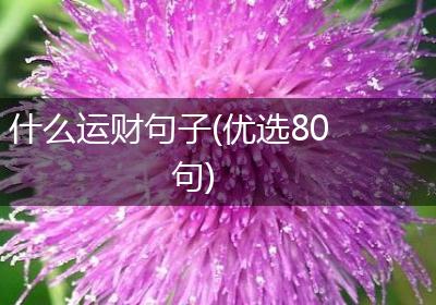 什么运财句子(优选80句)