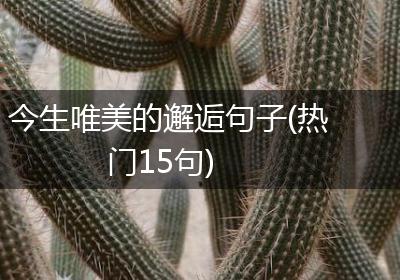 今生唯美的邂逅句子(热门15句)