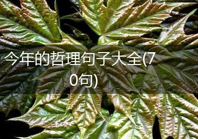 今年的哲理句子大全(70句)