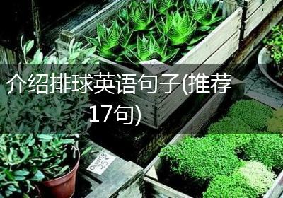 介绍排球英语句子(推荐17句)