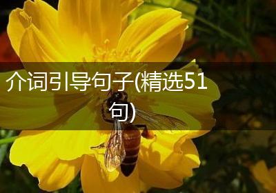 介词引导句子(精选51句)