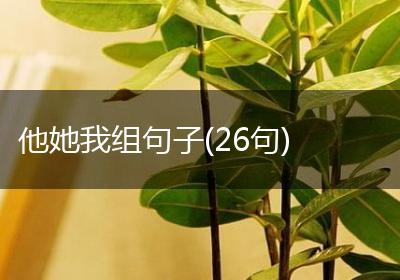 他她我组句子(26句)