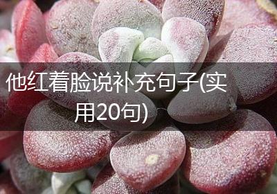 他红着脸说补充句子(实用20句)