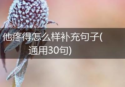 他疼得怎么样补充句子(通用30句)