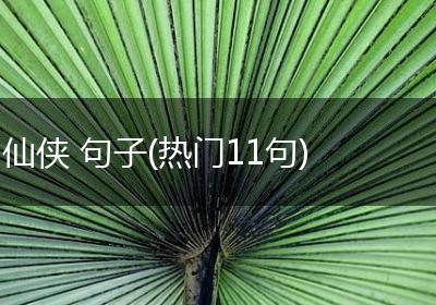 仙侠 句子(热门11句)