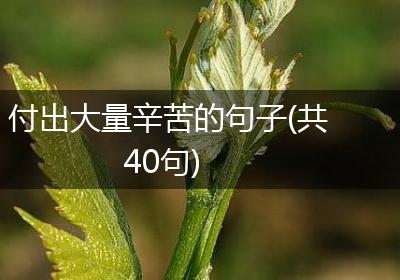 付出大量辛苦的句子(共40句)