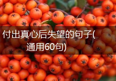 付出真心后失望的句子(通用60句)