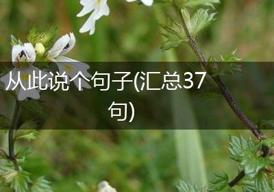 从此说个句子(汇总37句)