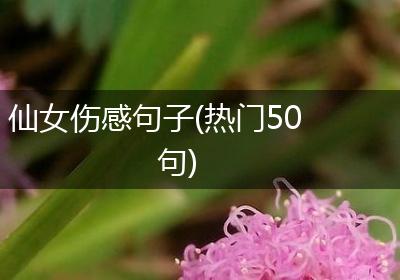 仙女伤感句子(热门50句)