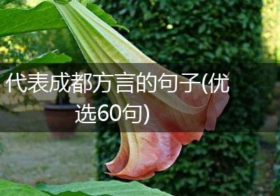代表成都方言的句子(优选60句)