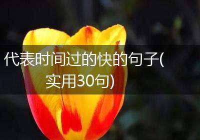 代表时间过的快的句子(实用30句)