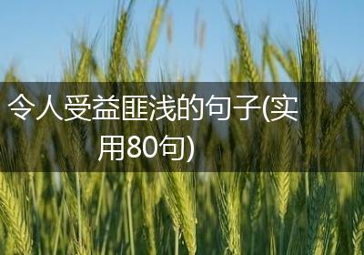 令人受益匪浅的句子(实用80句)