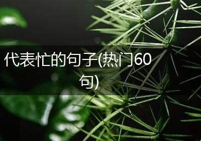 代表忙的句子(热门60句)