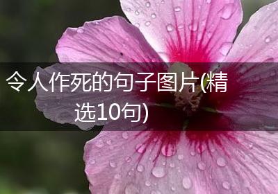 令人作死的句子图片(精选10句)