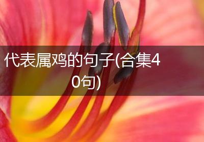 代表属鸡的句子(合集40句)