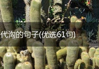 代沟的句子(优选61句)