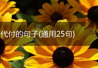 代付的句子(通用25句)