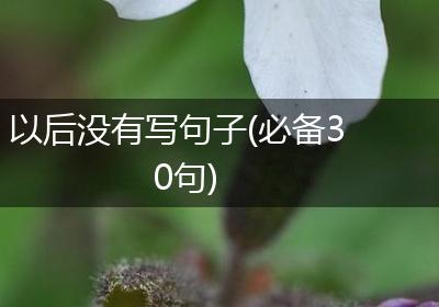 以后没有写句子(必备30句)