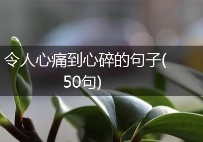 令人心痛到心碎的句子(50句)
