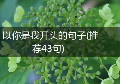 以你是我开头的句子(推荐43句)