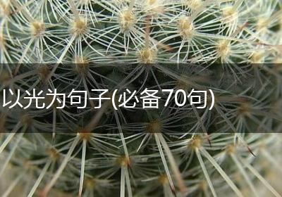 以光为句子(必备70句)