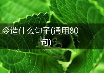令造什么句子(通用80句)