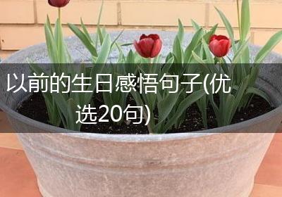以前的生日感悟句子(优选20句)