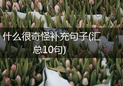 什么很奇怪补充句子(汇总10句)