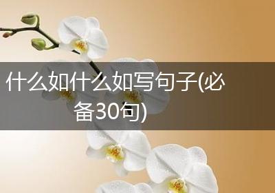 什么如什么如写句子(必备30句)
