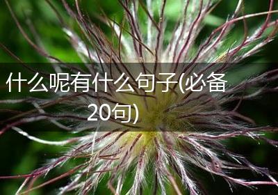 什么呢有什么句子(必备20句)