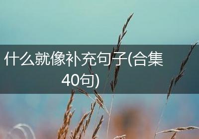 什么就像补充句子(合集40句)