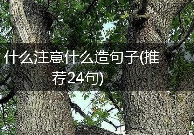 什么注意什么造句子(推荐24句)