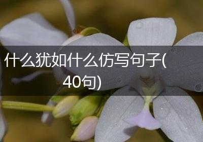 什么犹如什么仿写句子(40句)