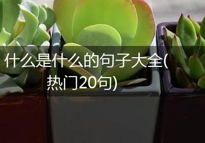 什么是什么的句子大全(热门20句)