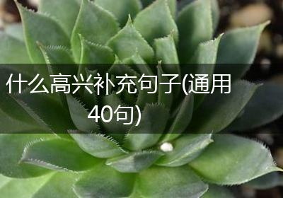 什么高兴补充句子(通用40句)