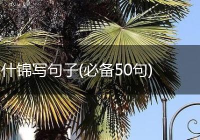 什锦写句子(必备50句)