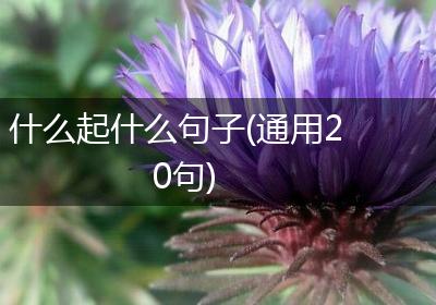 什么起什么句子(通用20句)