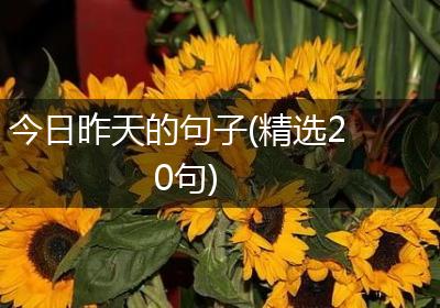 今日昨天的句子(精选20句)