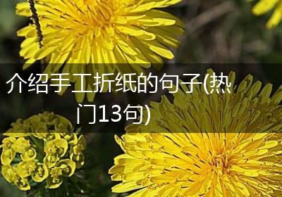 介绍手工折纸的句子(热门13句)