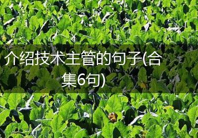介绍技术主管的句子(合集6句)