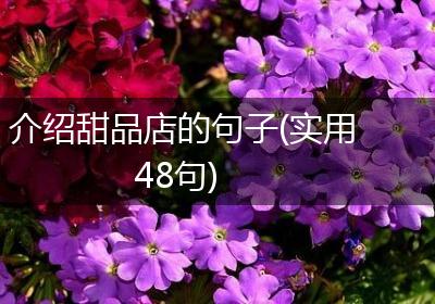 介绍甜品店的句子(实用48句)