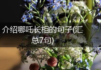 介绍哪吒长相的句子(汇总7句)