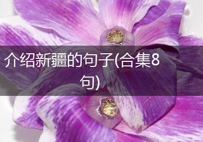 介绍新疆的句子(合集8句)