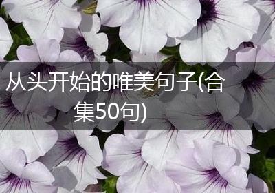 从头开始的唯美句子(合集50句)