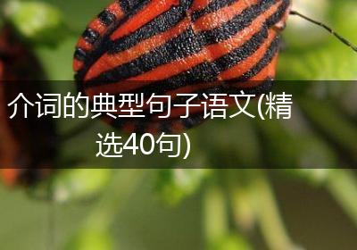 介词的典型句子语文(精选40句)