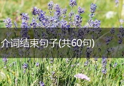 介词结束句子(共60句)