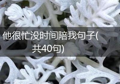 他很忙没时间陪我句子(共40句)