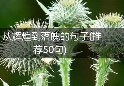 从辉煌到落魄的句子(推荐50句)
